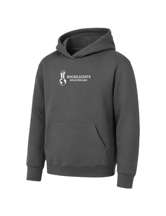Youth Charcoal 7.8 oz Pullover Hooded Sweatshirt w/Highlights Healthcare Logo